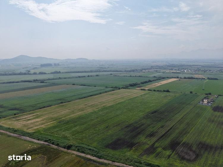 Teren de 52700 mp, în Stupini