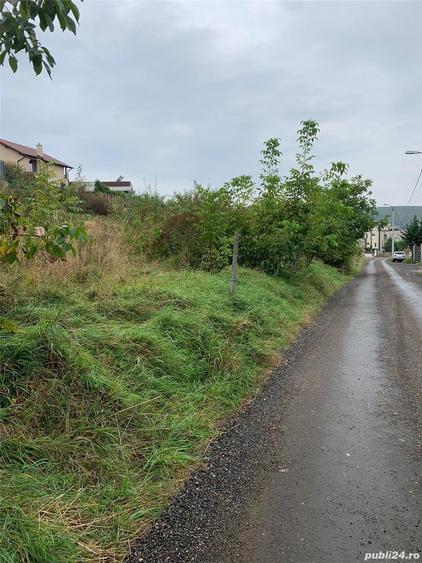 Teren de 4200 mp, în Zorilor