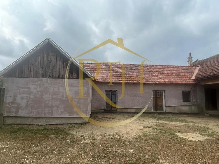 Casă individuală cu 6 camere cu Canalizare în Balinț