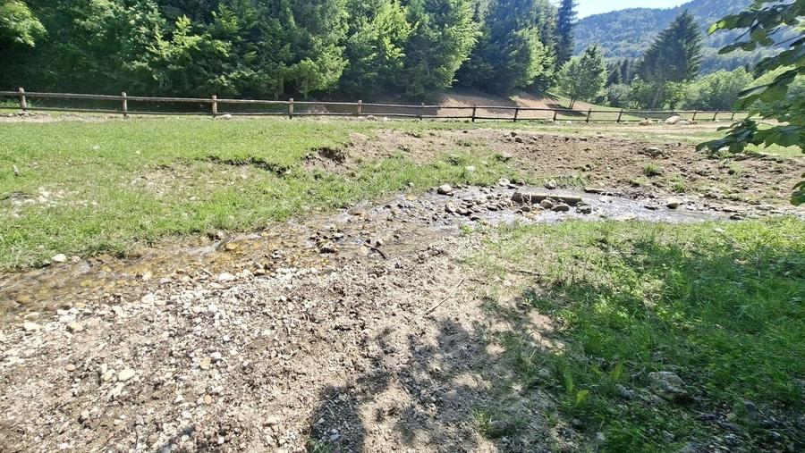 Teren Construcții extravilan de 126000 mp, în Glăjărie