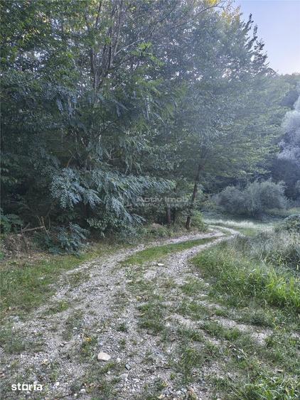 Teren intravilan de vanzare in padure Cisnadioara - 2