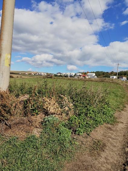 Teren agricol extravilan de 4600 mp, în Baciu