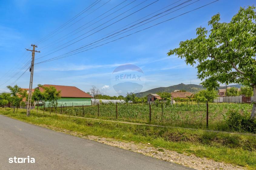 Casă cu 4 camere cu Teren 2422 Mp în Șiria