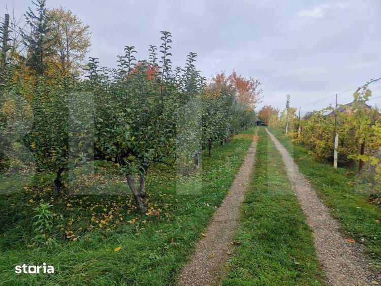 Casă cu 4 camere cu Teren 9700 Mp în Mihai Eminescu