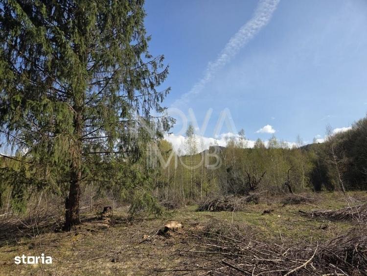 Teren de 4900 mp, în Viștea