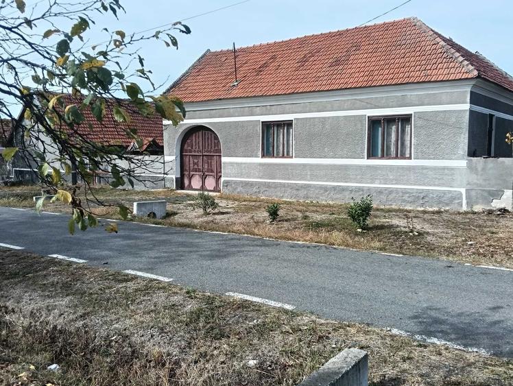 Casă cu 2 camere în Săvârșin