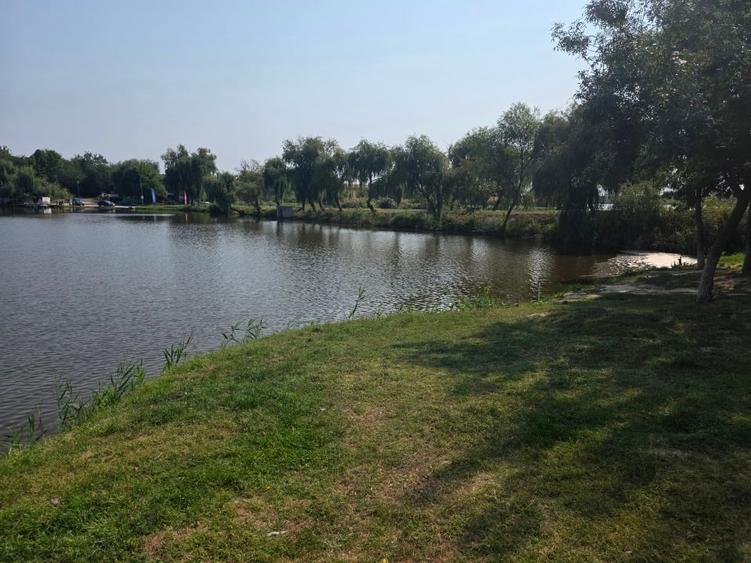 Teren Construcții intravilan de 25500 mp, în Măineasca