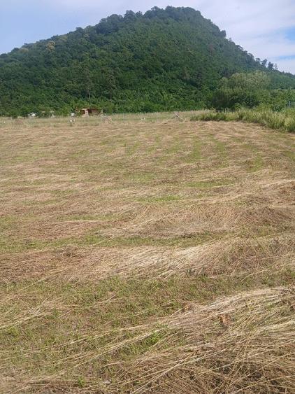 Teren de 1400 mp, în Sărata