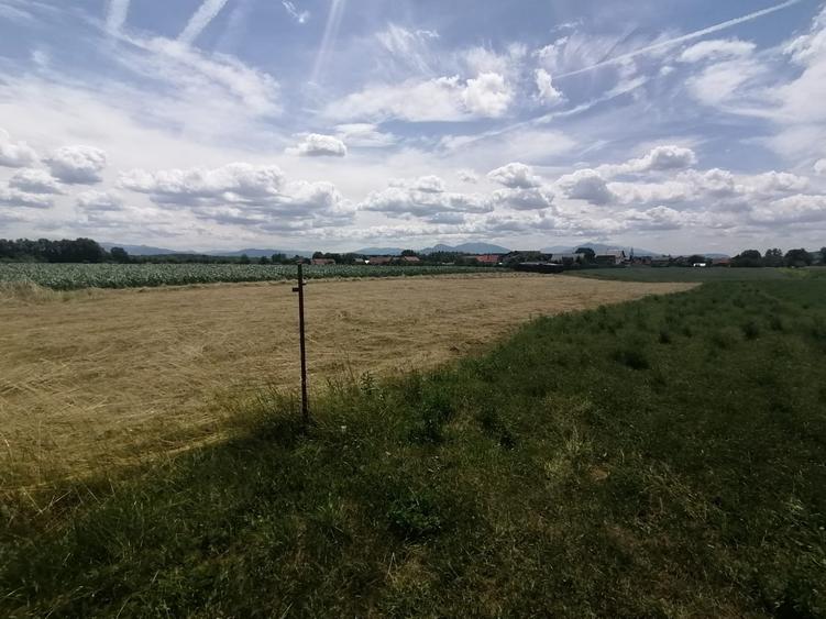 Teren Construcții intravilan de 2750 mp, în Podu Oltului