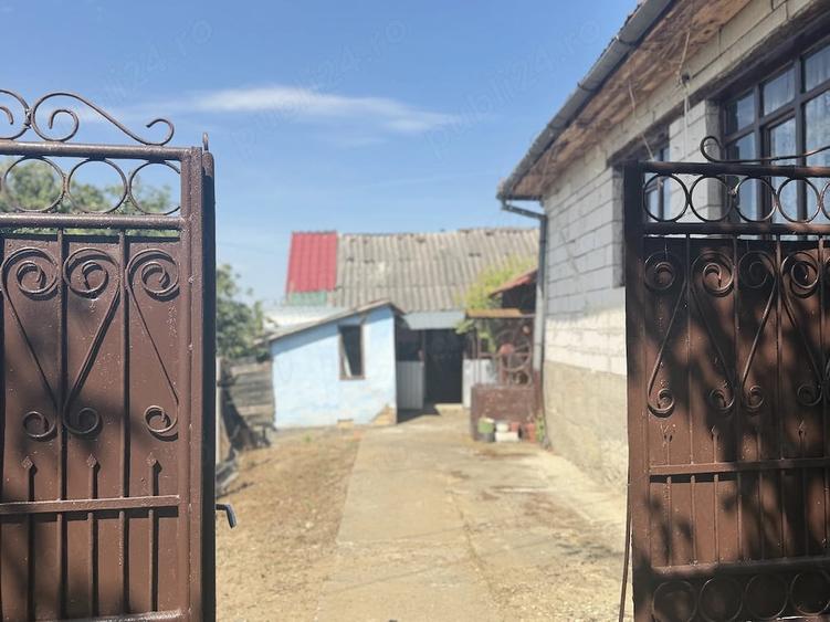 Casă cu Teren 2500 Mp în Prunișor