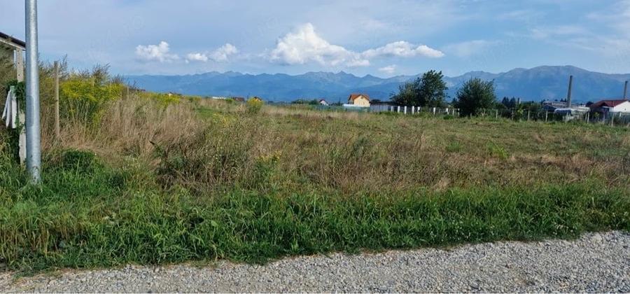 Teren de 1200 mp, în Central