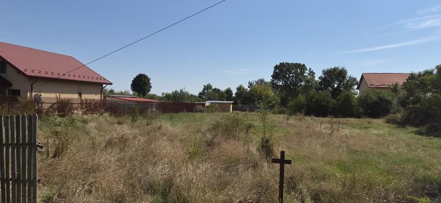 Teren Construcții intravilan de 800 mp, în Moșoaia