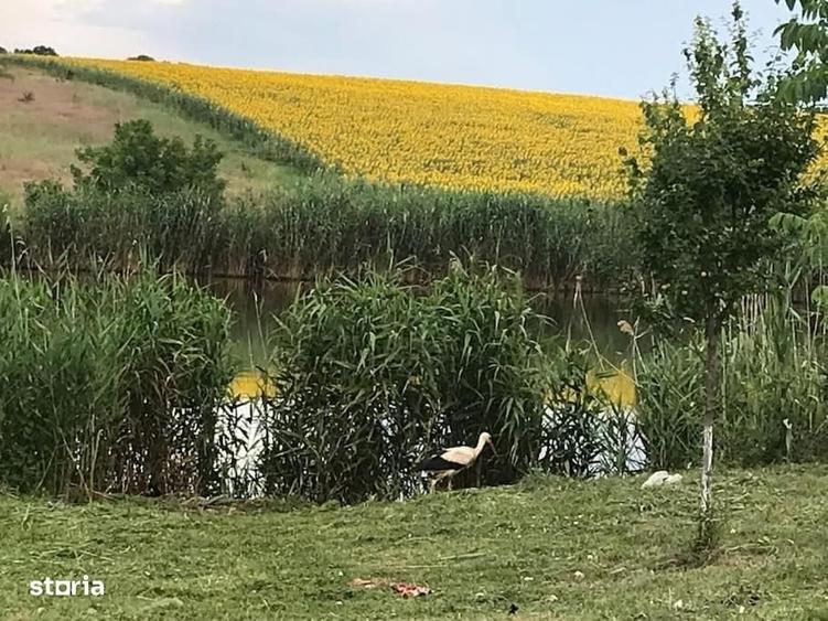 Casă cu 4 camere în Căciulați