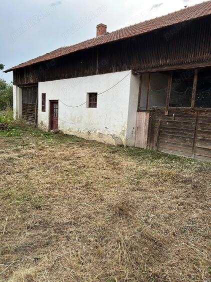 Vand casa in Sculia,Ora?ul Gataia,Jud Timi? (2158mp) - 6