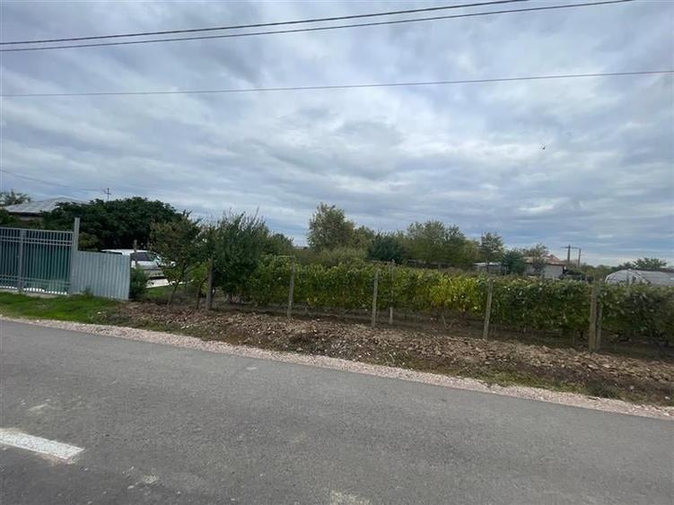 Teren Construcții intravilan de 1000 mp, în Iazurile