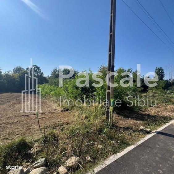 Spațiu comercial, în Central