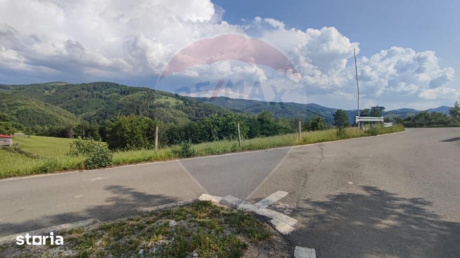Teren de 128948 mp, în Negreni