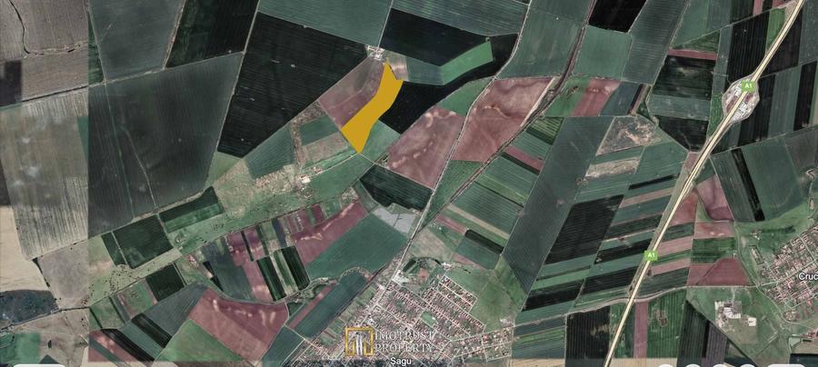Teren agricol extravilan de 122800 mp, în Șagu