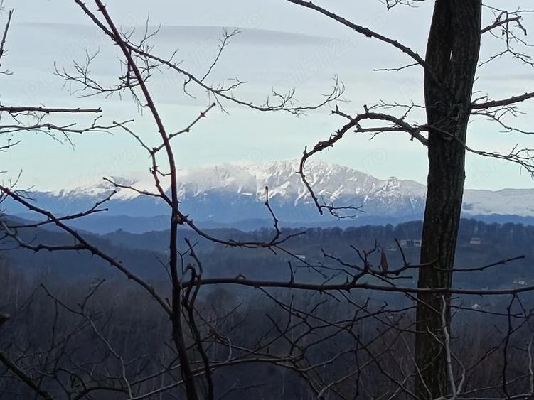 Teren de 17112 mp, în Cicănești