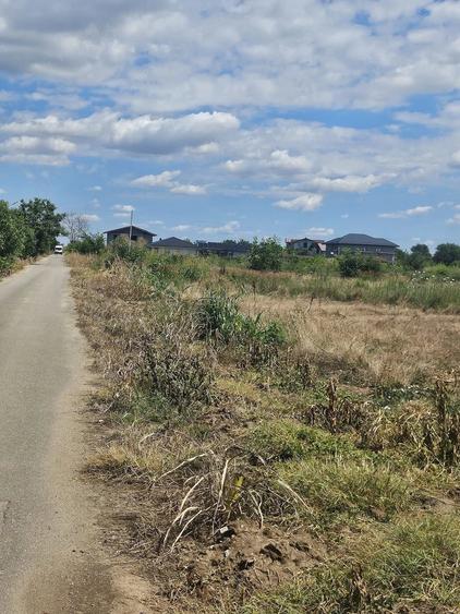 Teren de 8000 mp, în Mogoșești