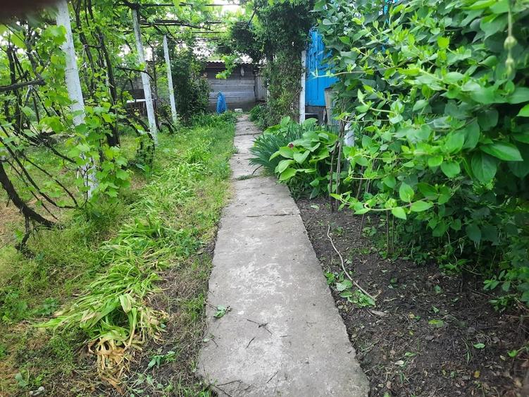 Casă cu Teren 2651 Mp în Focuri