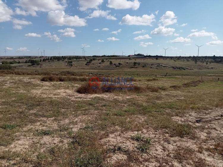 Teren intravilan de 4000 mp, în Grădina