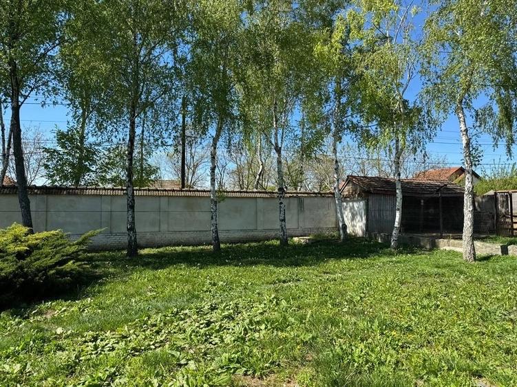 Casă cu Teren 1006 Mp în Diniaș