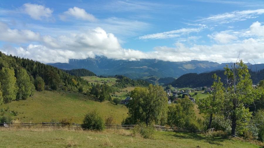 Teren agricol extravilan de 17537 mp, în Fundata