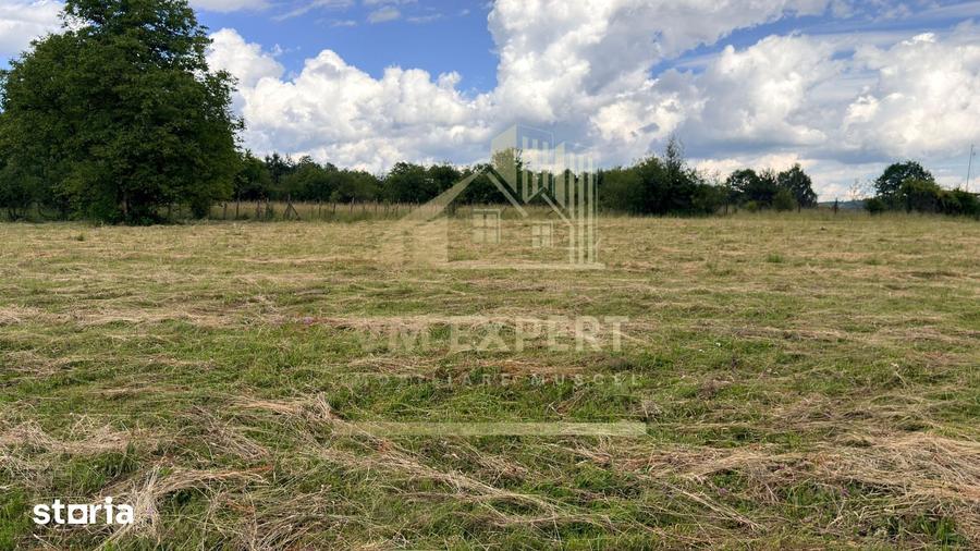 Casă cu 3 camere cu Teren 6997 Mp în Moieciu