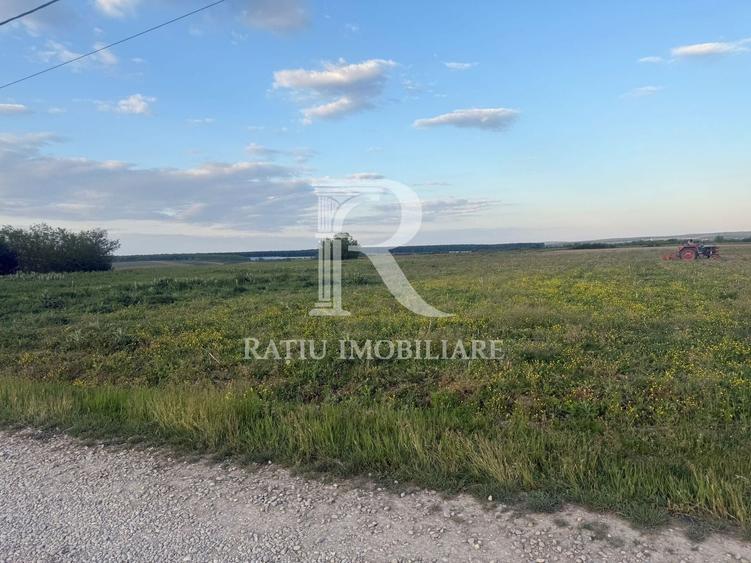 Teren agricol extravilan de 1923 mp, în Păușa