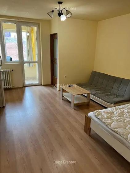 Garsonieră decomandată, mobilată în Take Ionescu