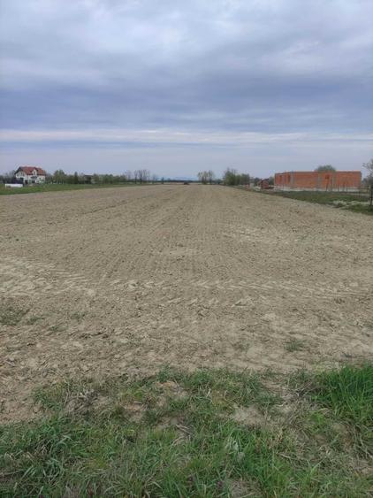 Teren de 6840 mp, în Cionchești