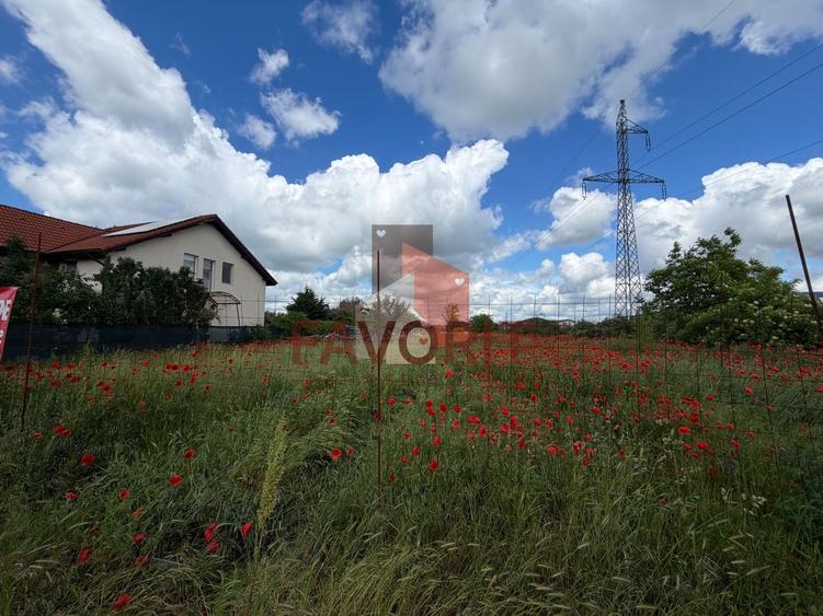 Teren Construcții intravilan de 1000 mp, în Dumbrăvița