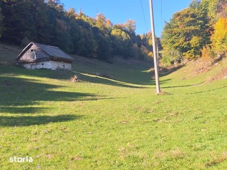 Teren de 16000 mp, în Dâmbovicioara