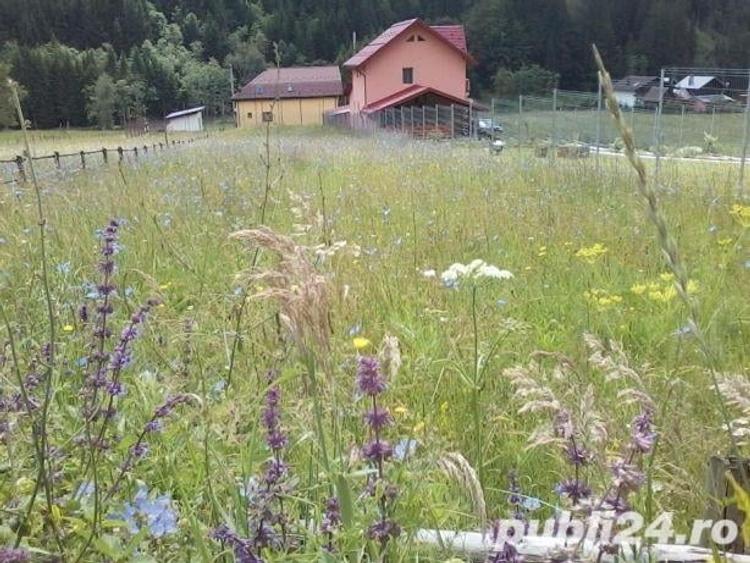 Teren de 1000 mp, în Cheia