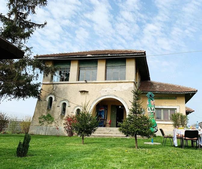 Casă cu Teren 9600 Mp în Pleșoiu