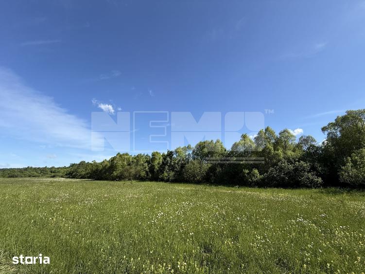 Teren de 2300 mp, în Horodnic