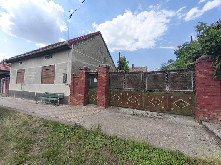 Casă cu 4 camere cu Teren 1715 Mp în Topolovățu Mare