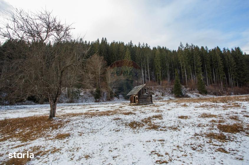 Teren de 49000 mp, în Borca