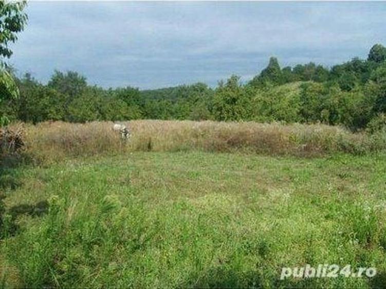 Teren de 3900 mp, în Sâmbotin