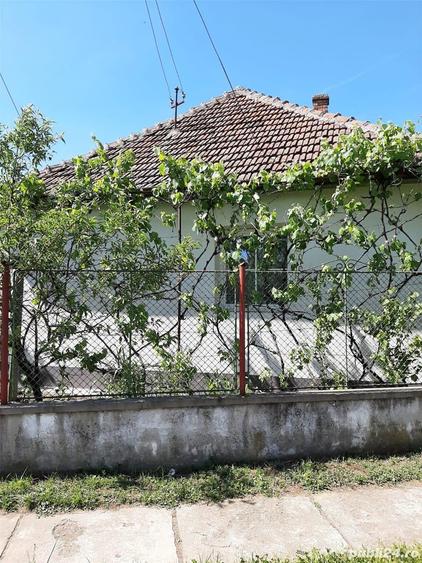 Casă cu 5 camere cu Teren 3500 Mp în Sântana