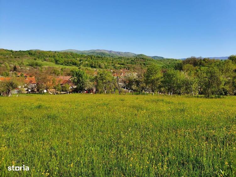 Teren de 3040 mp, în Românești