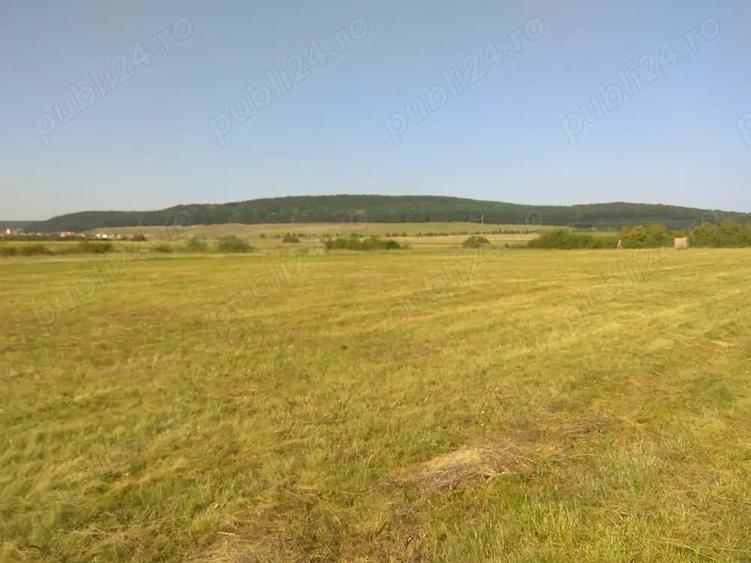 Teren de 5800 mp, în Suseni