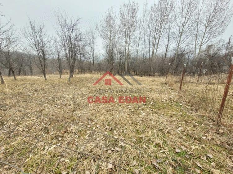 Casă cu Teren 1358 Mp în Gura Beliei