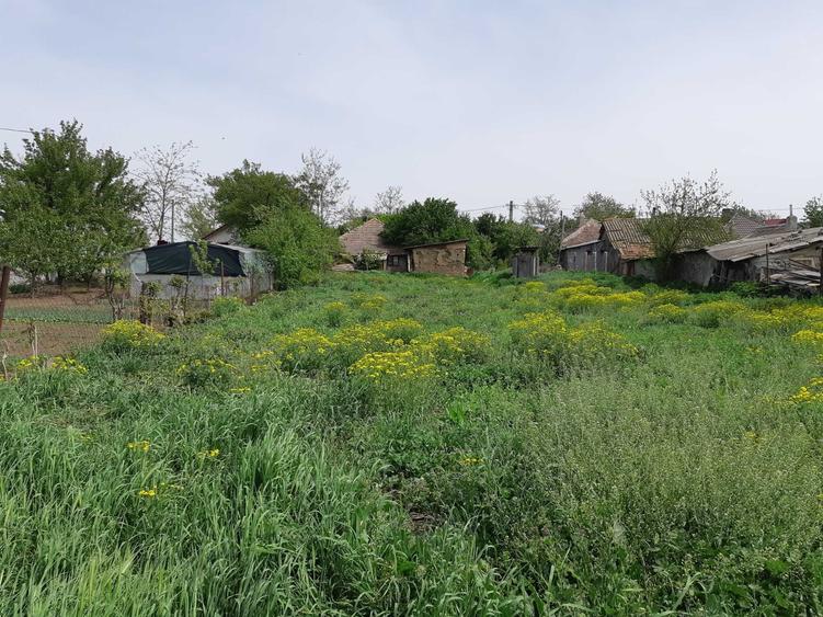 Casă cu 4 camere în Amara