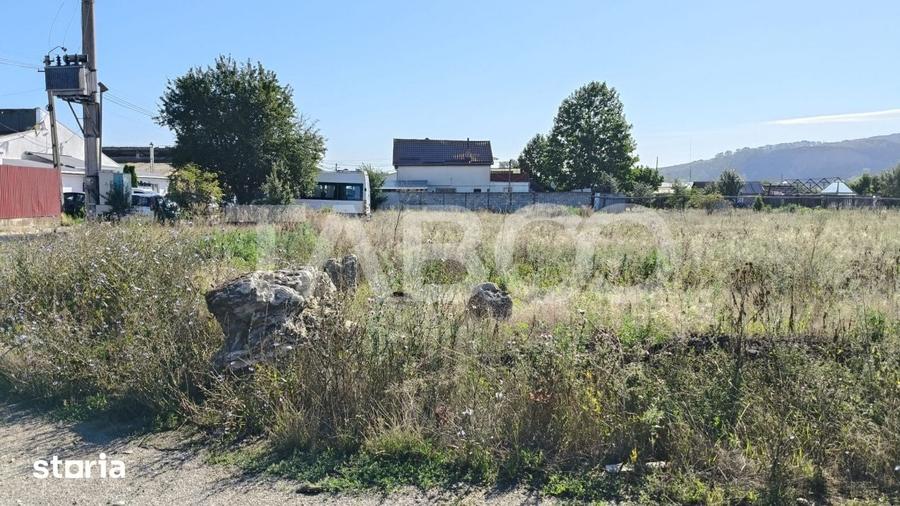 Teren de 2499 mp, în Sebeș