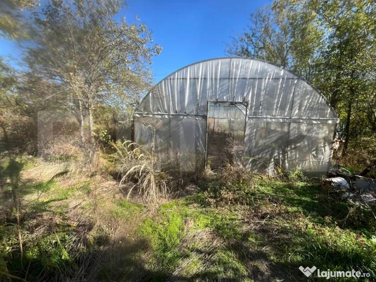 Casă cu 3 camere cu Teren 4500 Mp în Răcari