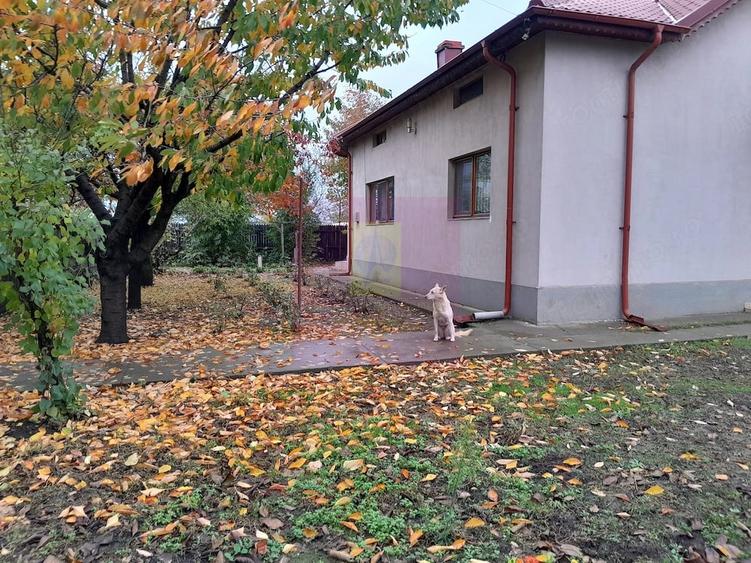 Casă cu 7 camere cu Teren 1500 Mp în Islaz