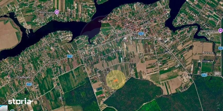 Teren de 1.500 mp de vanzare Ghermane?ti Snagov | Langa padure - 4