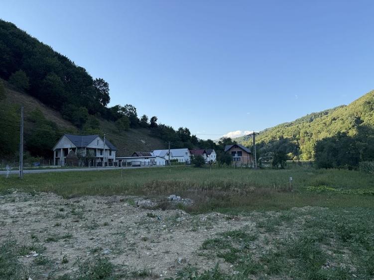 Teren de 4000 mp, în Rebra